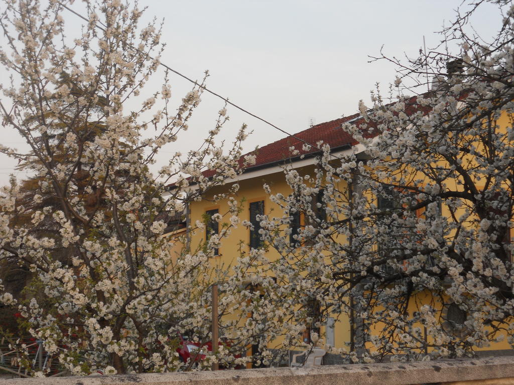 B&B Pervinca Rocca Grimalda Zewnętrze zdjęcie