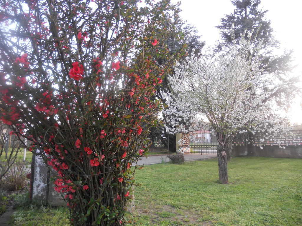 B&B Pervinca Rocca Grimalda Zewnętrze zdjęcie