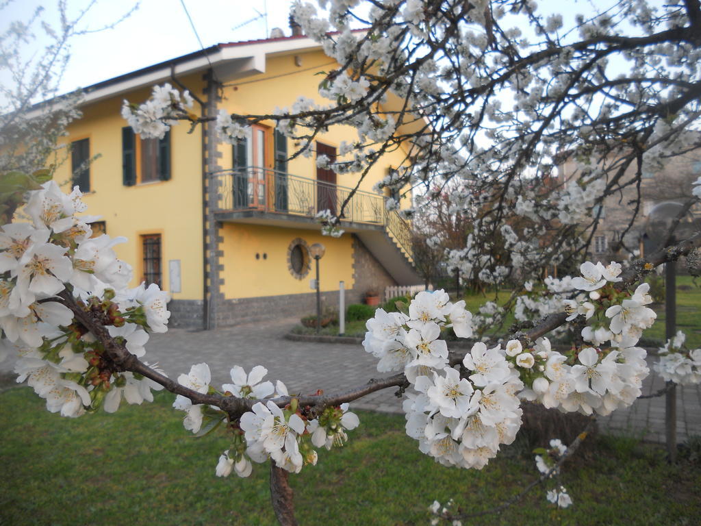 B&B Pervinca Rocca Grimalda Zewnętrze zdjęcie